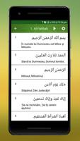 Al Quran Romanian screenshot 3