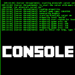 Server Minecraft Console