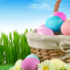 Easter Wishes Wallpapers آئیکن