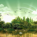 Paradise Wallpapers