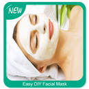 Easy DIY Facial Mask APK