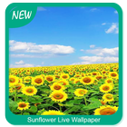 Sunflower Wallpaper ikon