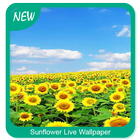 Sunflower Wallpaper icon