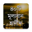 APK নির্বাচিত ৪০টি মূল্যবান হাদীস