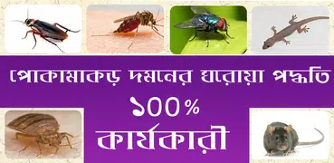 ঘরবাড়ি থেকে পোকামাকড় দমন - Remove Insect from Home