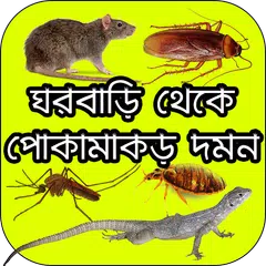 download ঘরবাড়ি থেকে পোকামাকড় দমন - Remove Insect from Home APK
