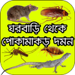 ঘরবাড়ি থেকে পোকামাকড় দমন - Remove Insect from Home