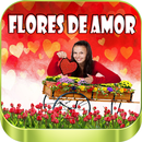 Imagenes De Flores Hermosas APK