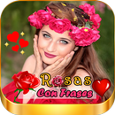 Imagenes De Rosas Hermosas APK