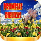 Icona Biblia De Promesas