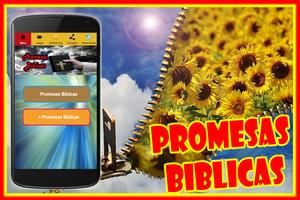 Biblia De Promesas Affiche