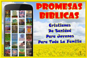 Biblia De Promesas capture d'écran 1