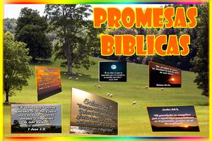 Biblia De Promesas capture d'écran 2
