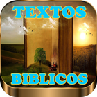 Textos Biblicos icône