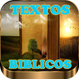 Textos Biblicos icône