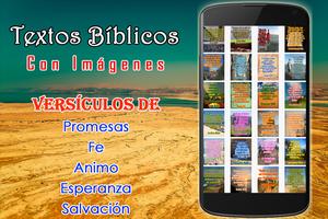 Textos Biblicos Plakat