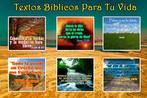 Textos Biblicos ภาพหน้าจอ 1