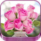 Hermosas Rosas Rojas y de Colo