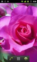 برنامه‌نما rose flower wallpaper عکس از صفحه