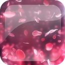Płatki Róż Tapety na Żywo aplikacja