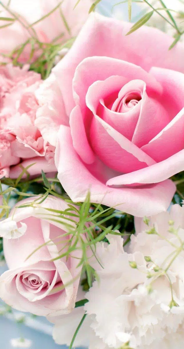 Rose Wallpaper Hd Lock Screen 18 Apk For Android Download