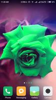 برنامه‌نما Rose Wallpapers عکس از صفحه