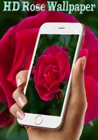 Roses Wallpapers hd 2017 ภาพหน้าจอ 1