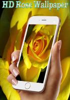 Roses Wallpapers hd 2017 ภาพหน้าจอ 3