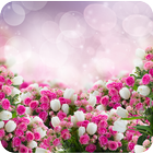 Rose Wallpapers আইকন