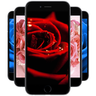 Rose Wallpapers Zeichen