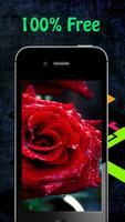 برنامه‌نما Rose Wallpapers عکس از صفحه