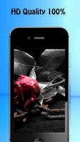 Rose Wallpapers syot layar 2