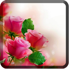 Roses Wallpapers for Chat আইকন