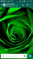 Roses Wallpapers for Chat syot layar 2