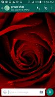 Roses Wallpapers for Chat Screenshot 3