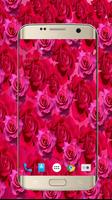 Fleur rose fond décran Live HD Affiche