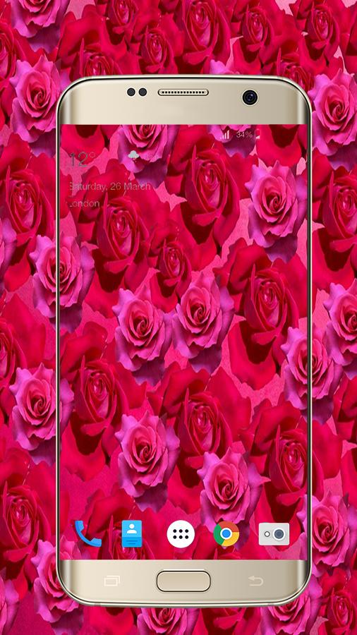 Rose Flower Wallpaper For Mobile Phone
