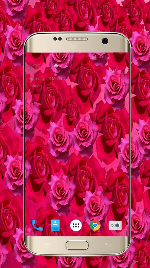 Rose Flower Wallpaper Live HD APK for Android Download Rose Flower Wallpaper Live HD APK for Android Download