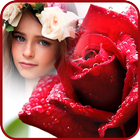 Rain Rose Photo Frames icon