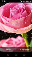 Beautiful Roses Live Wallpaper Affiche