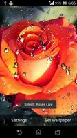 Beautiful Roses Live Wallpaper screenshot 2