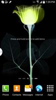 Lonely Rose Live Wallpaper Affiche