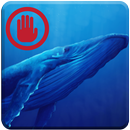 Avoid :Blue whale challenging app APK