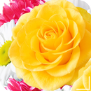 HD Wedding Flowers Wallpapers for  love APK