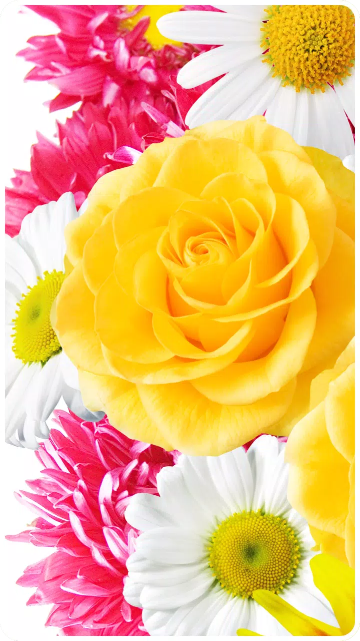 wallpaper desktop love flower