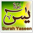 Surah Yaseen Translation MP3 आइकन