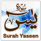 Surah Yaseen With MP3 أيقونة