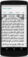 Surah Yaseen With MP3 تصوير الشاشة 1