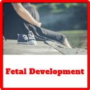 Fetal Development aplikacja