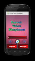 Parrot Voice Ringtones الملصق